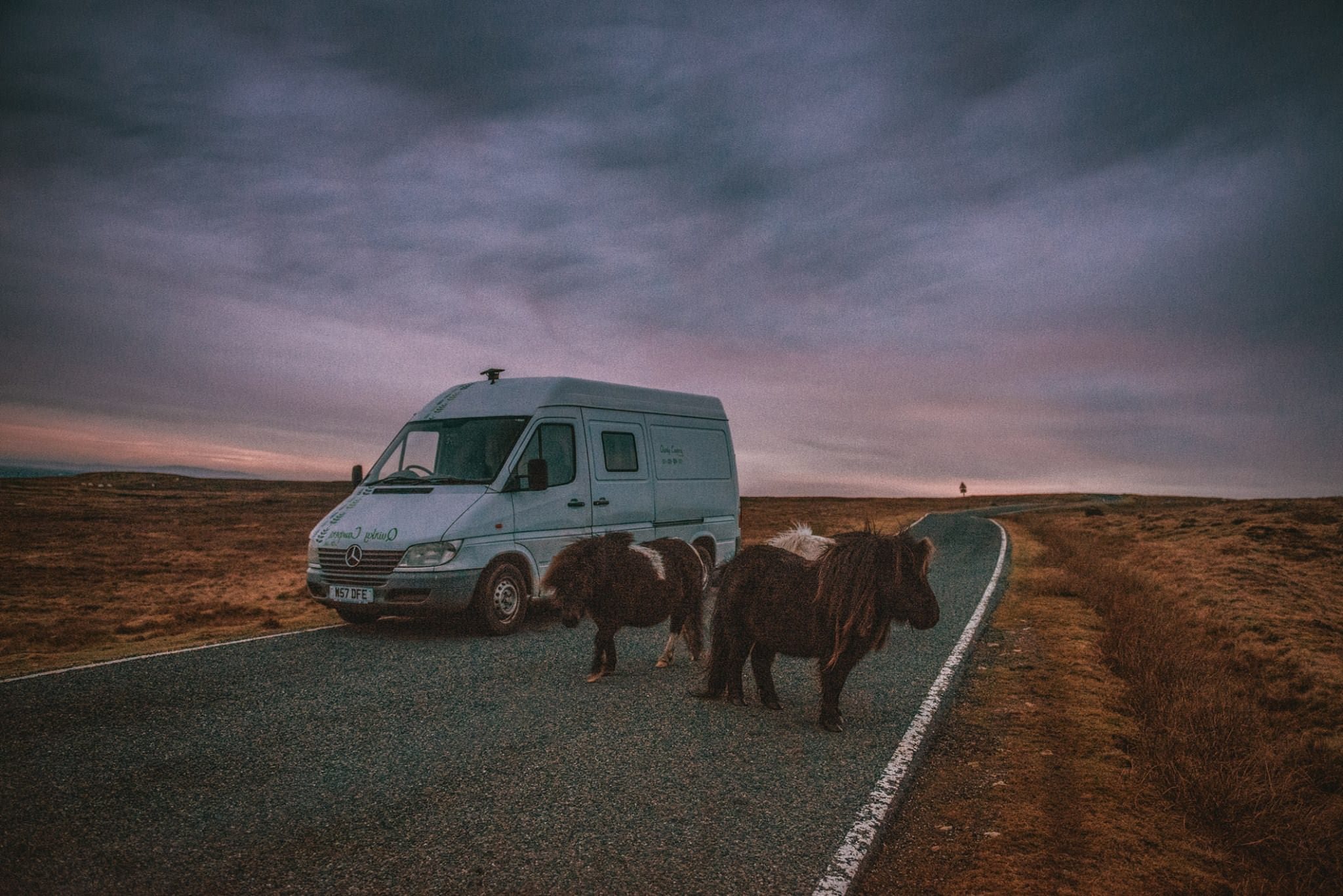 Horses in Ireland by a handmade selfbuilt Mercedes Campervan