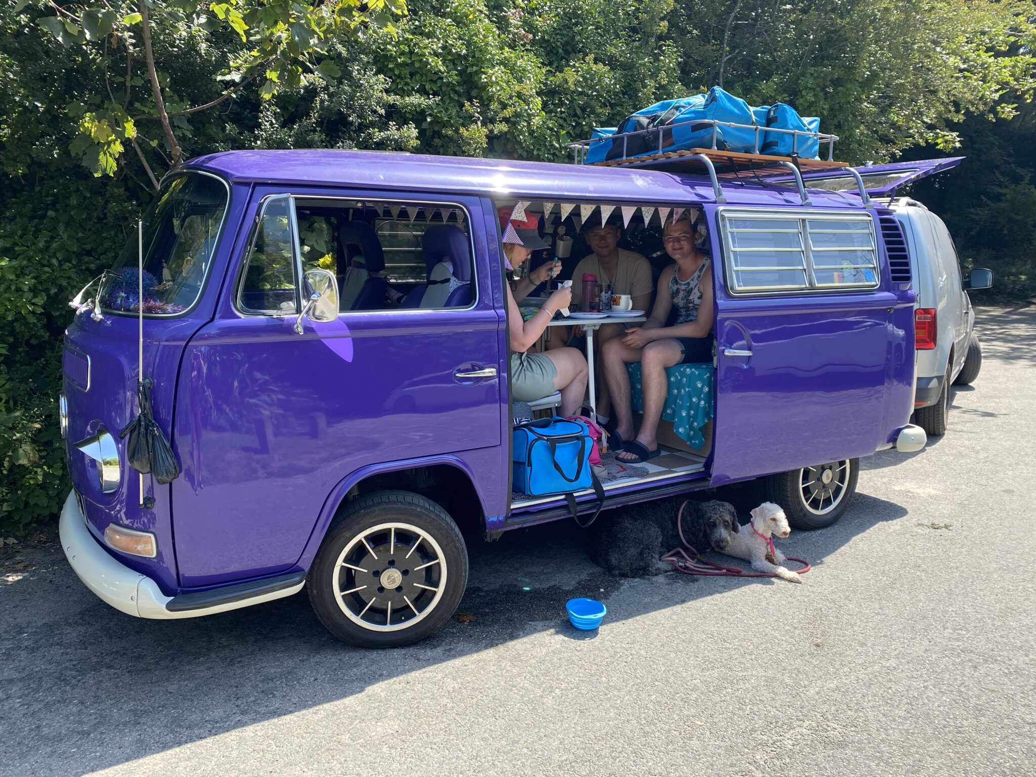 Van purple 2025