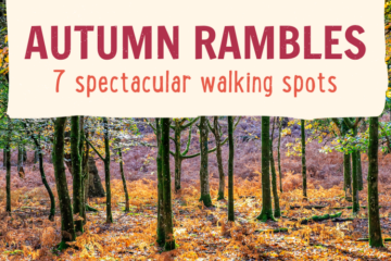 A dense forest scene in autumn, showcasing a floor blanketed with vibrant orange, yellow, and brown fallen leaves. Tall trees with sparse, yellowing foliage stand in the foreground. The text over the image reads, "AUTUMN RAMBLES: 7 spectacular walking spots" in bold red and orange letters.